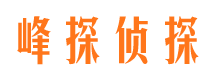 九台侦探公司